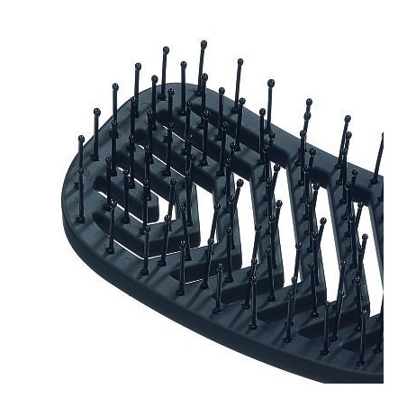 Brosse araignée Provent