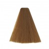 Coloration Vitality's ART absolute 8/3 Blond clair doré