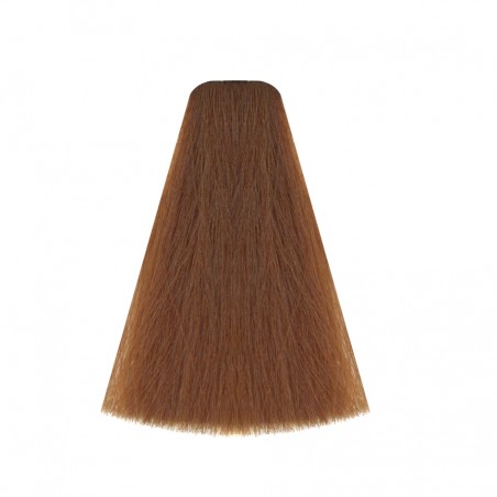 Coloration Vitality's ART absolute 8/94 Blond sable ténéré
