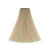 Coloration ART Absolute Vitality's 1008 Super-éclaircissant perle