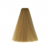 Coloration ART Absolute Vitality's 102 Ultrablond beige