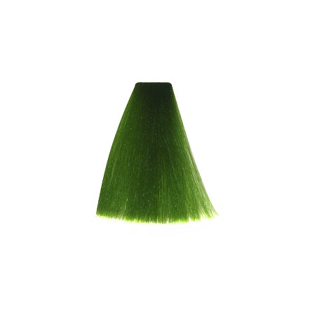 Coloration Tone Shine Vitality's Vert intensificateur