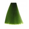 Coloration Tone Shine Vitality's Vert intensificateur