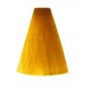 Coloration Tone Shine Vitality's Jaune intensificateur