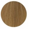 Coloration Vitality's Zero vegan 10/2 Blond platine sable