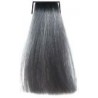 Coloration Tone Shine Vitality's 10/1 Ultrablond cendré