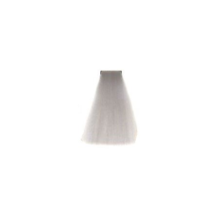 Coloration Tone Shine Vitality's 11/1 Platine cendré